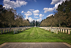 Cologne War Cemetery - Bernhard Saalfeld